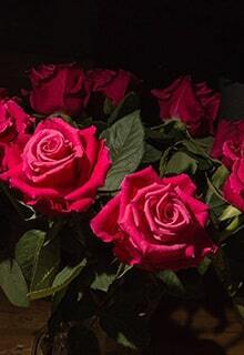 Цветы умершего (страшная история)