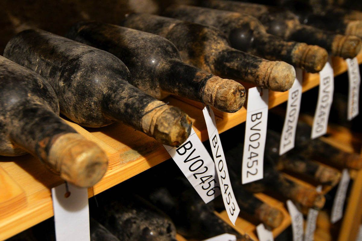 6 Удивительных фактов о вине