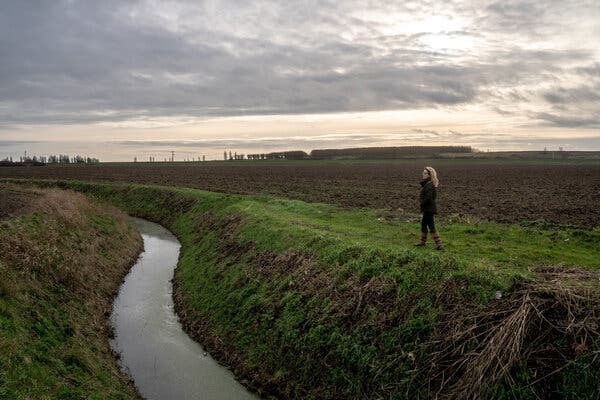 Для британских фермеров последствия Brexit стали яснее