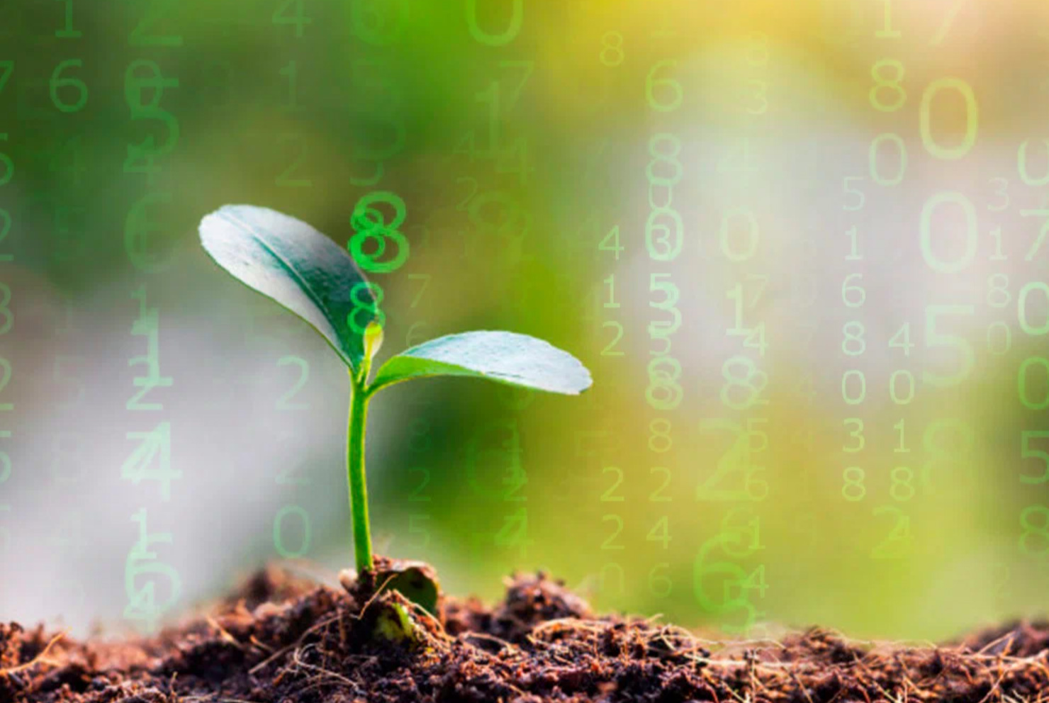 Как узнать о своем предназначении при помощи нумерологии