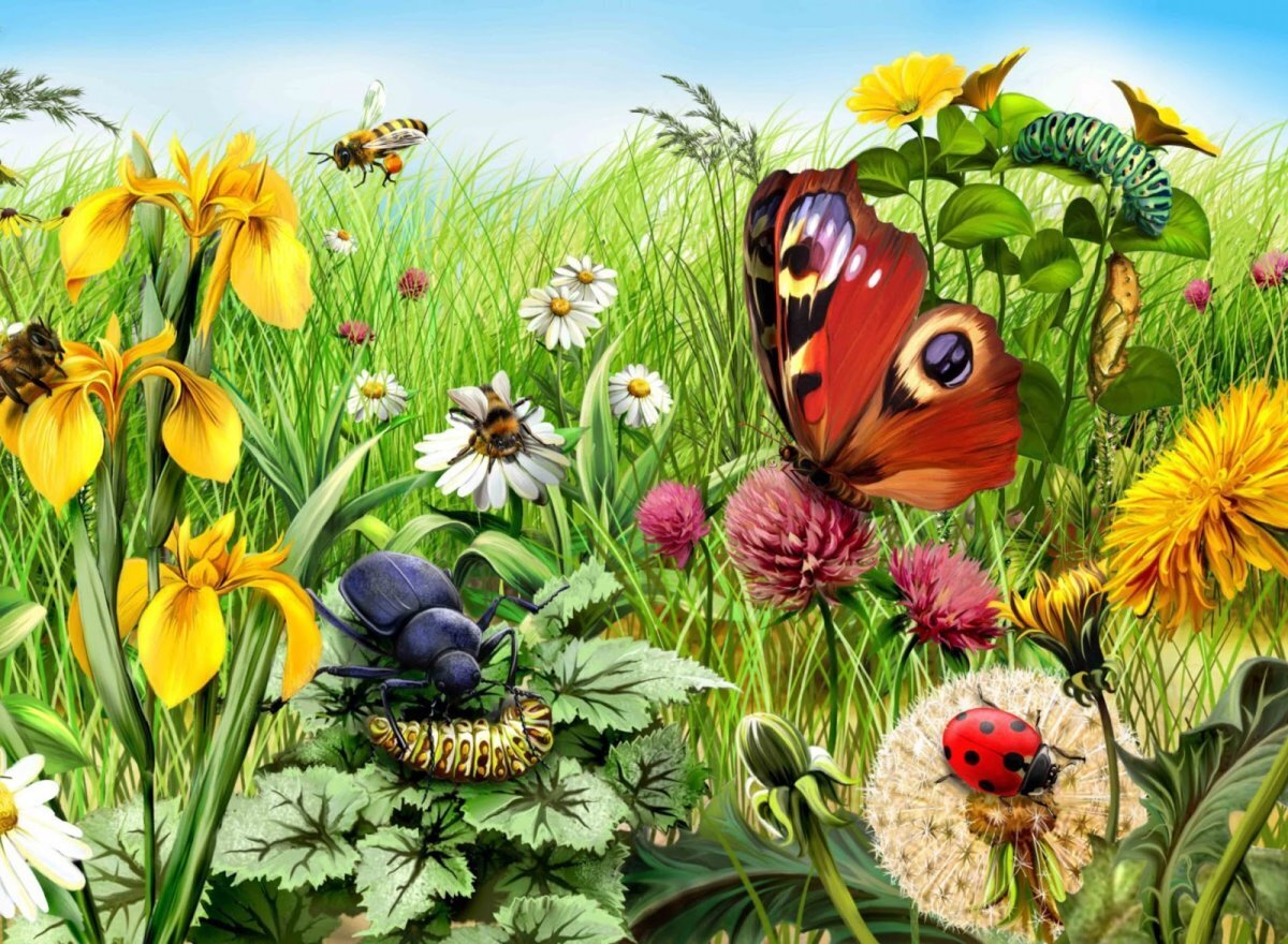 Не судите строго – я исправлюсь