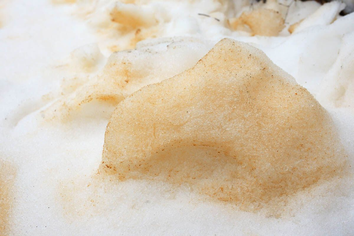 6 морозных фактов о Снеге