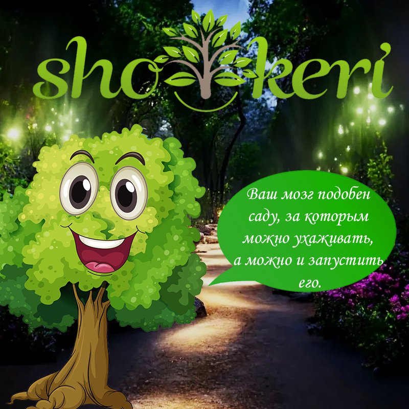 Как перестать беспокоиться о деньгах каждый день