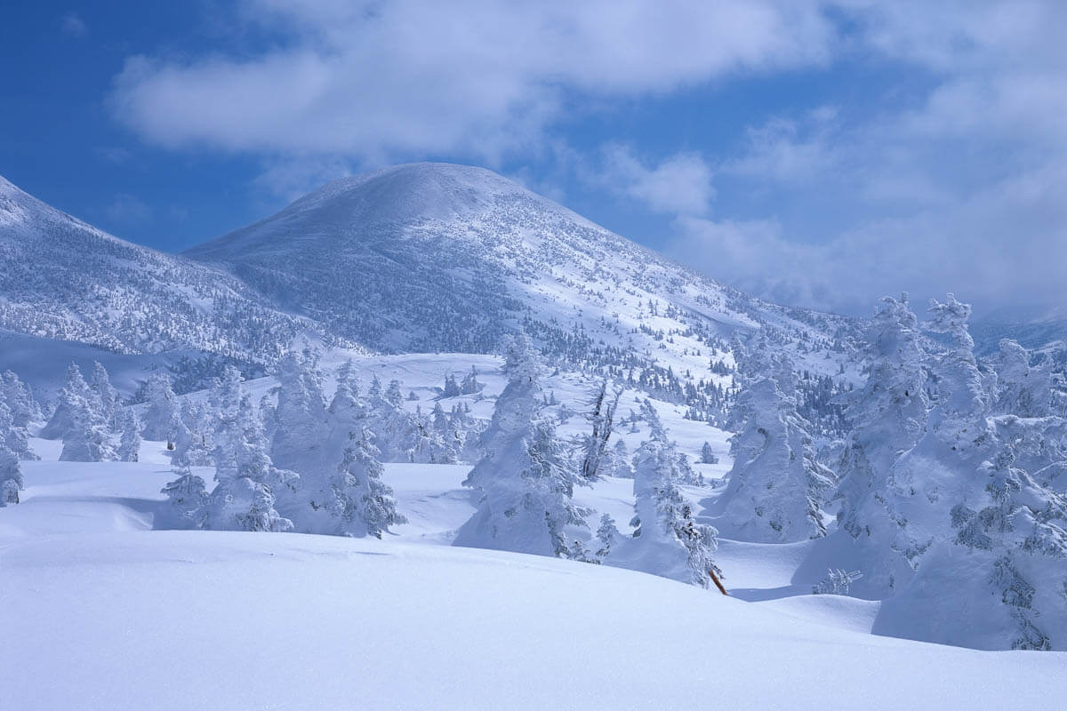 6 морозных фактов о Снеге