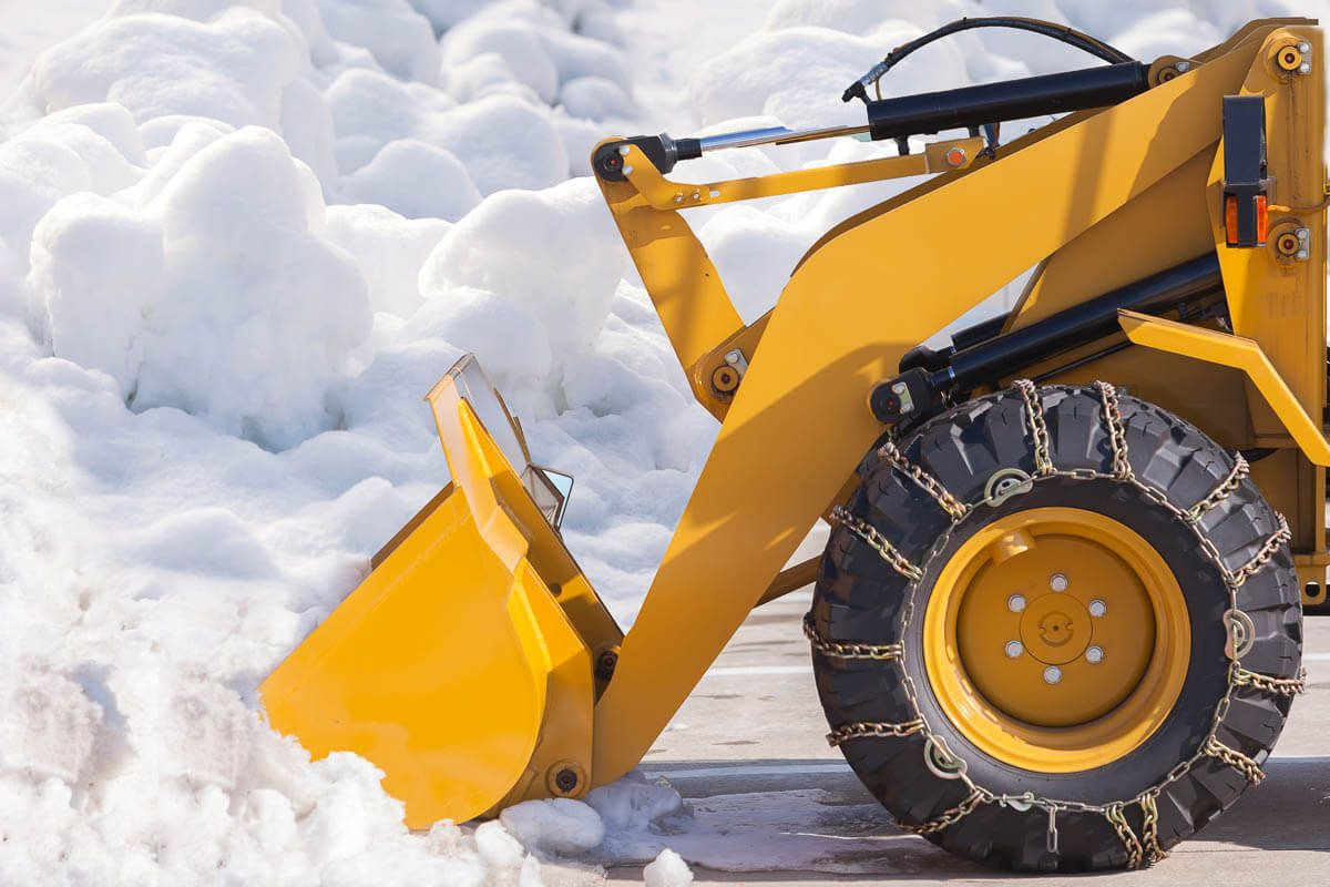 6 морозных фактов о Снеге