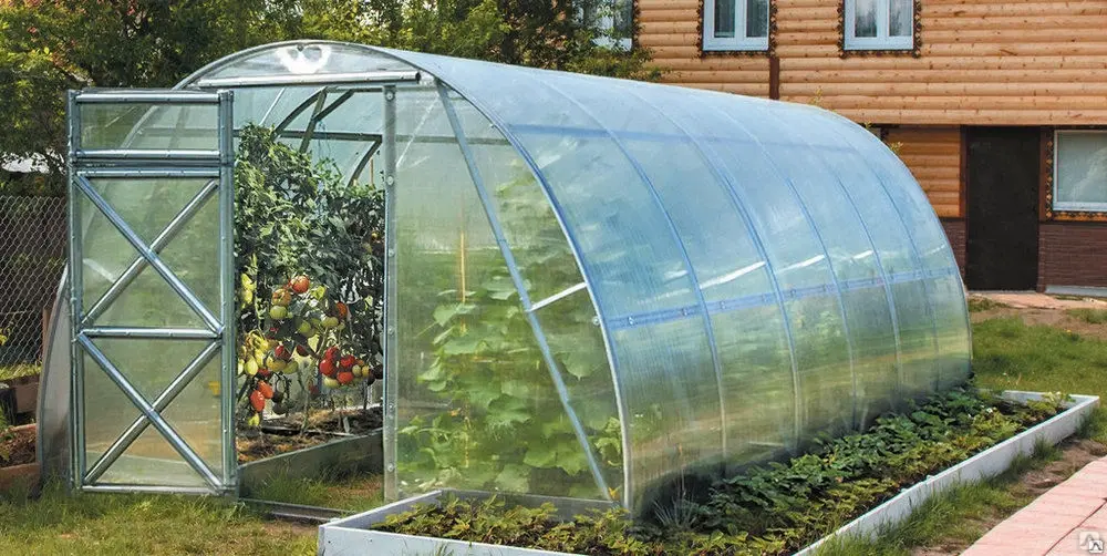 Как правильно подготовить теплицу из поликарбоната к новому сезону