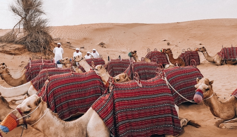 Дубай и Абу-Даби: мегаполис, подвешенный между настоящим и будущим