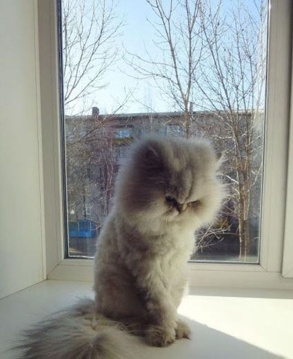 Вас обидели?