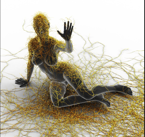 Плохое здоровье кишечника может привести к рассеянному склерозу, но лучшая диета может его облегчить