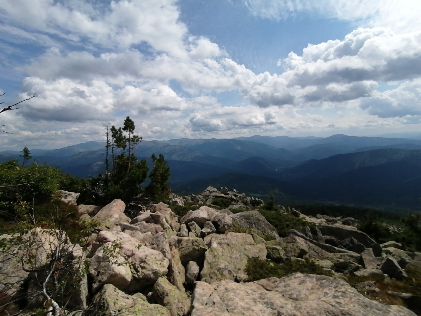 Удивительное всегда рядом, нужно только открыть глаза!