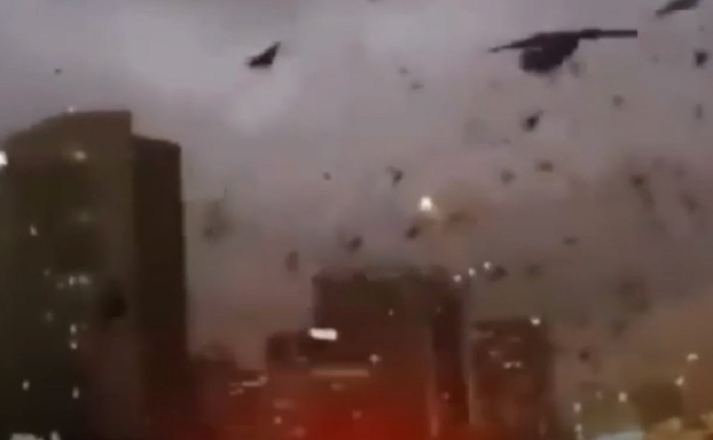 Нашествие ворон в Киеве, что значит эта примета, почему вороны появились в это время года и о чем предупреждают