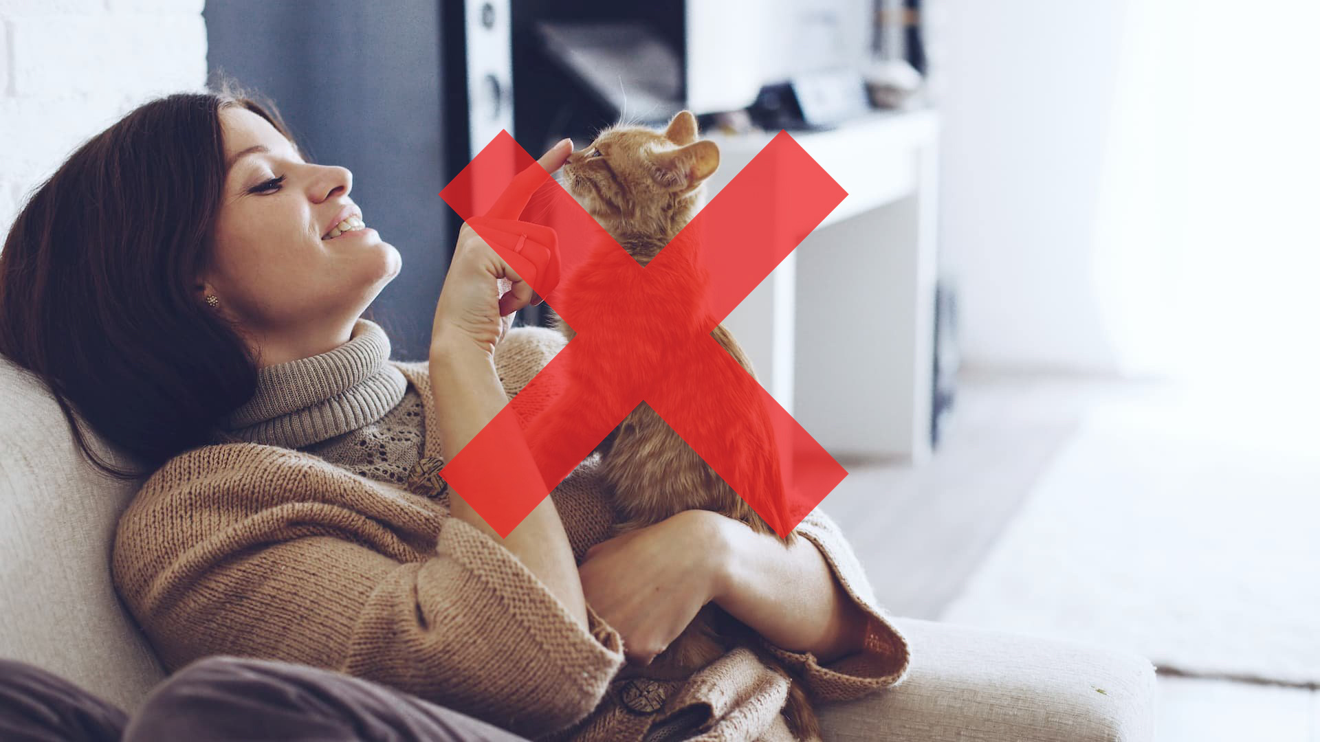 Как релаксировать без кошки