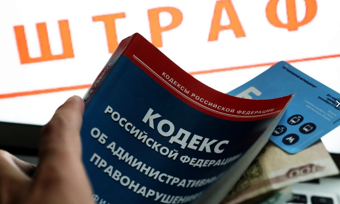 Голубые ели! Ответственность за выброс елки в мусорный контейнер. Куда рекомендуют убирать елки после новогодних праздников