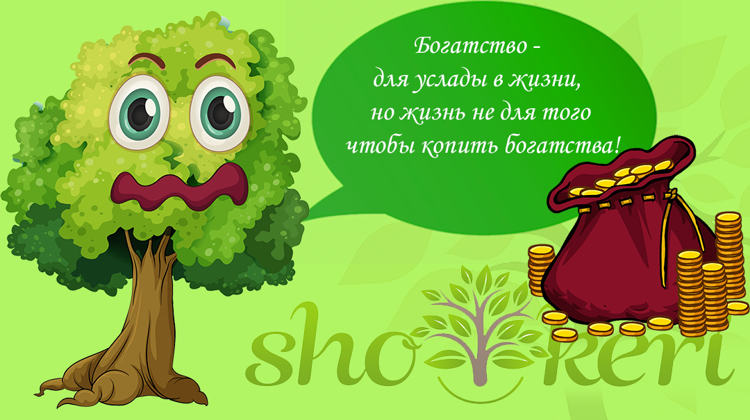 Легкие советы для скромного образа жизни без чувства ущемления