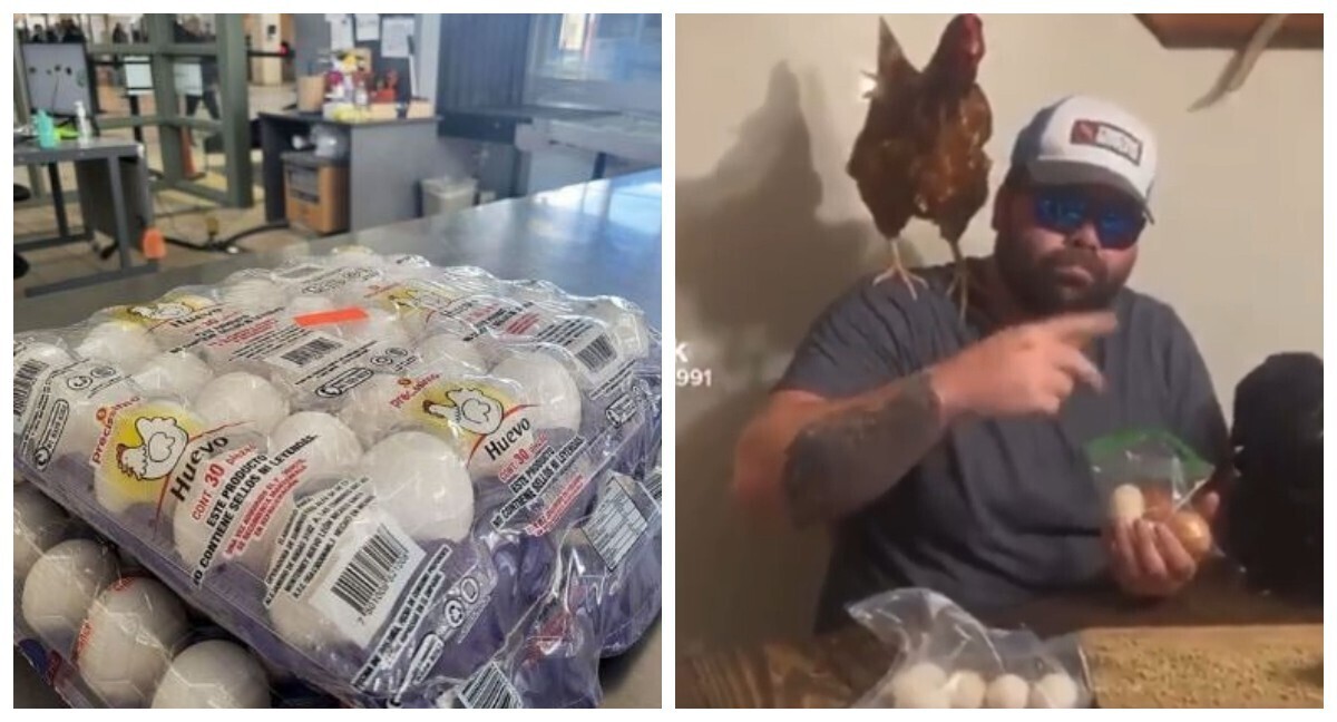 Рост контрабанды куриных яиц!