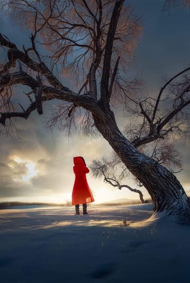 Мысли в слух! ''Какую самую горькую правду вам пришлось узнать, которая сделала вас сильнее?''