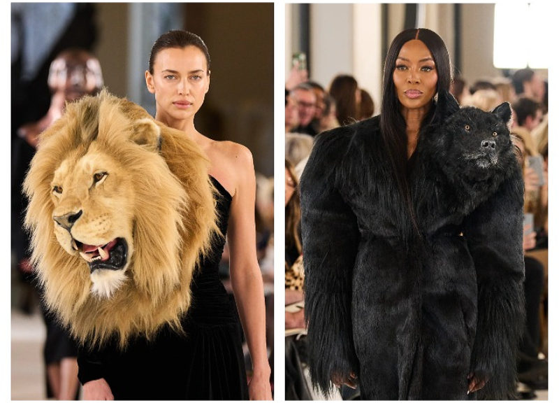 Модный скандал: Ирина Шейк нашла неожиданного защитника. Активисты по защите прав животных удивили своей позицией.