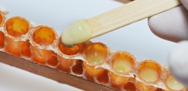 Роль пчелиного маточного молочка в строении клетки человека