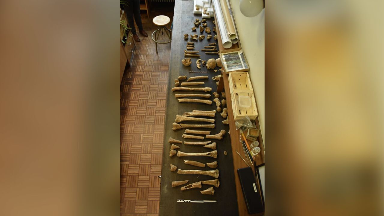 Это ШОК!!! До этого было найдено только два тела, найденных в битве при Ватерлоо, пока один человек не рассказал, что находилось на его чердаке.