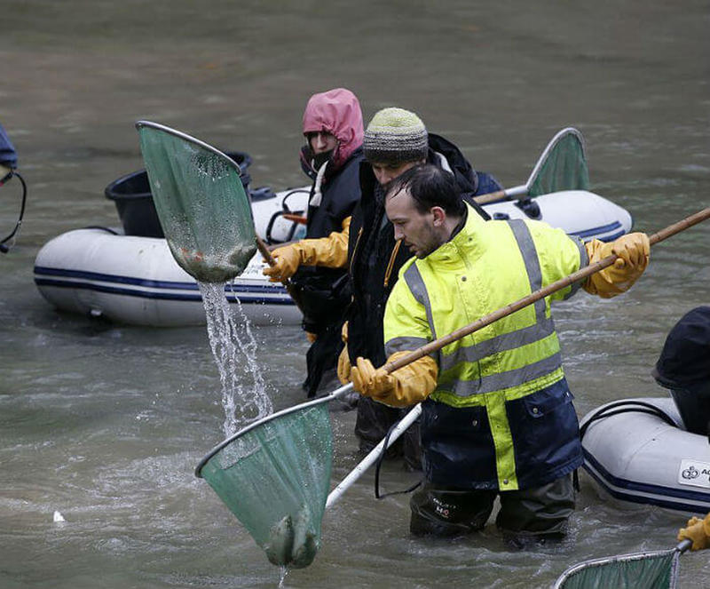 После осушения 200-летнего Парижского канала.. Вы будете потрясены тем, что показала вода