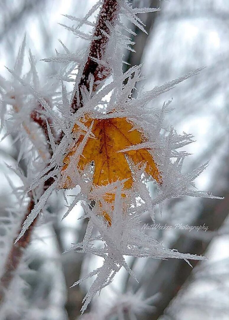 Мысли в слух! ''Какую самую горькую правду вам пришлось узнать, которая сделала вас сильнее?''