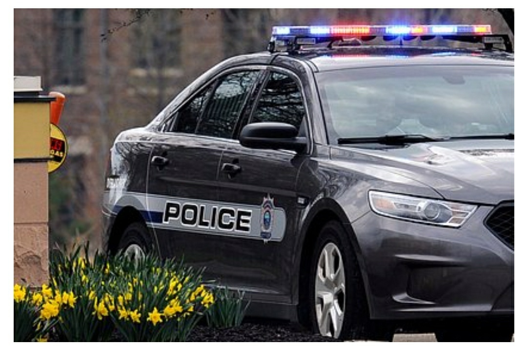 Собака застрелила человека.