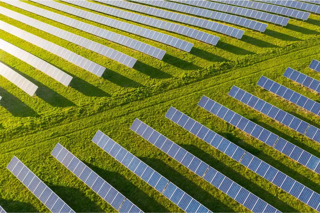 6 Позитивных экологических новостей с 2022 года