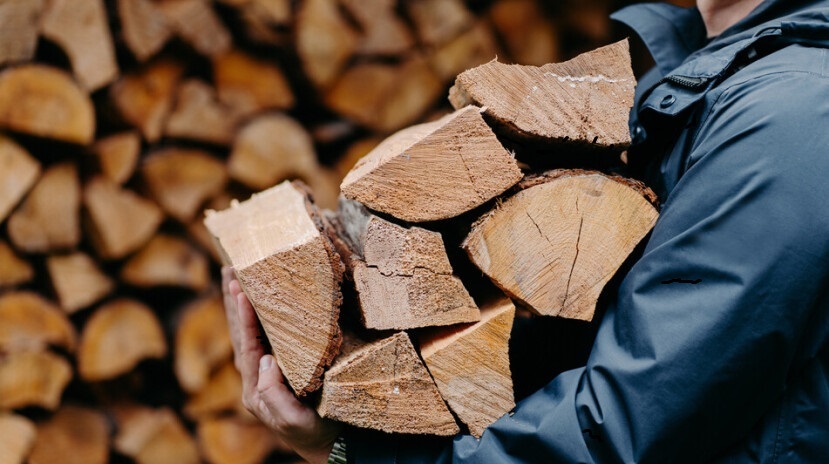 Во Франции начали раздавать ваучеры на дрова.
