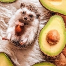 Оксана, г. Саратов