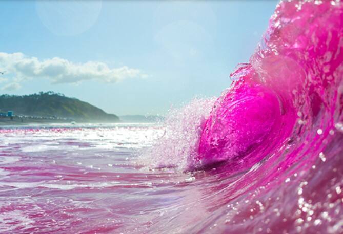 Почему Тихий океан стал розовым?