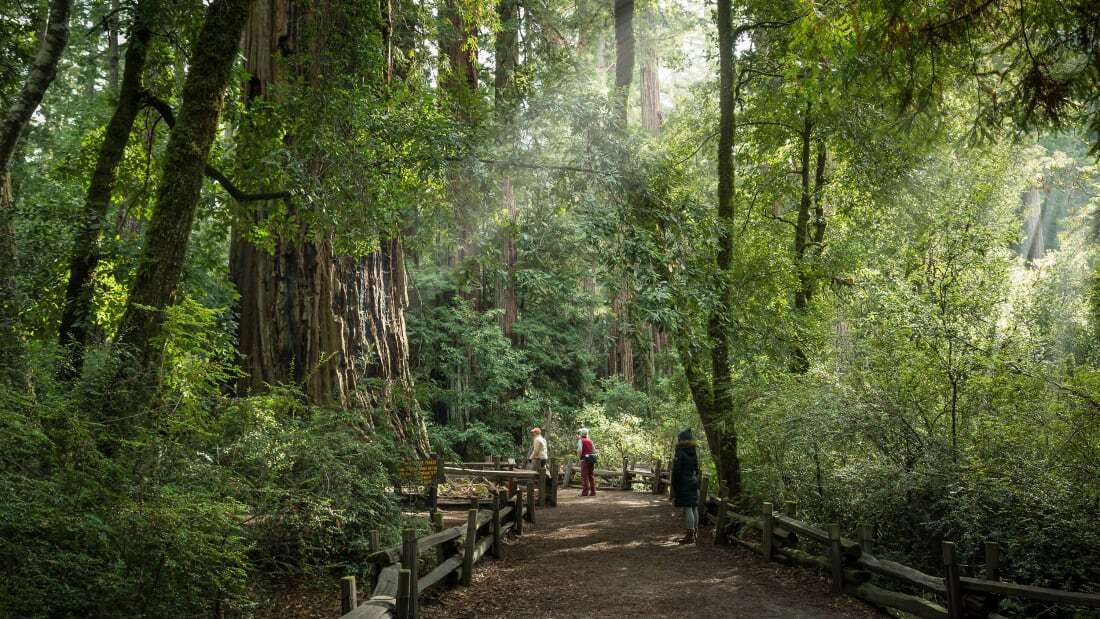 Некоторые из любимых калифорнийских парков и лесов, пострадавших от шторма, остаются закрытыми
