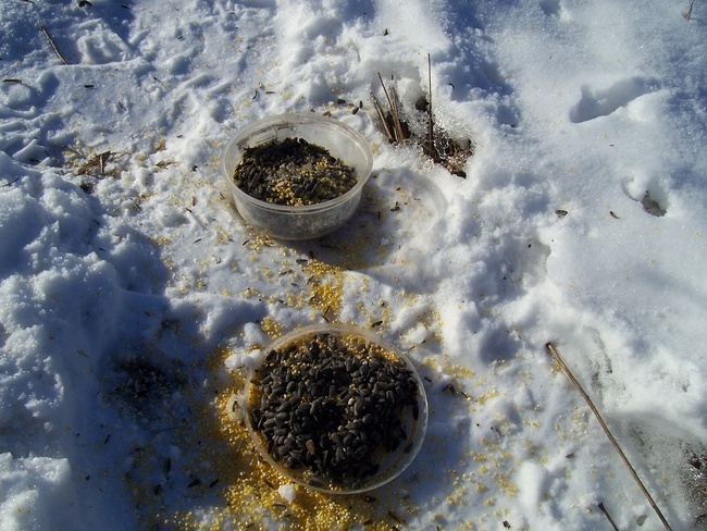 Солнечный день