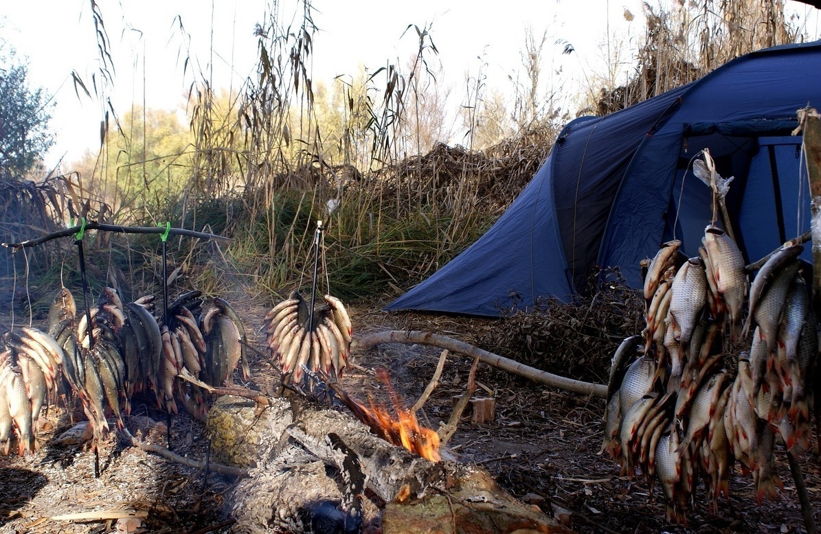 Росрыболовство ограничат вывоз пойманной рыбы из Астрахани