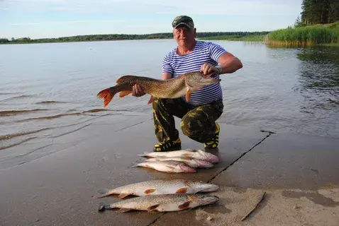 Ахтуба, рыбалка дикарем