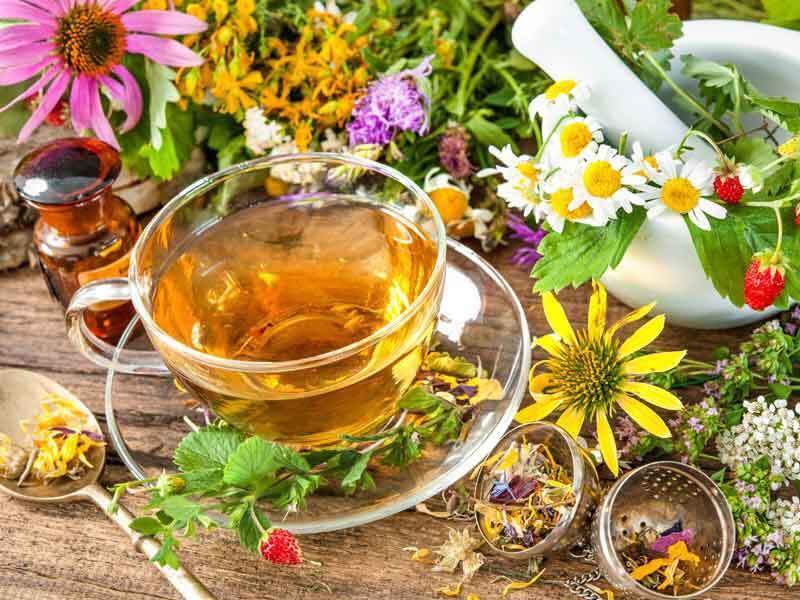 7 лучших травяных чаев для сна. Какого чаю попить перед сном?