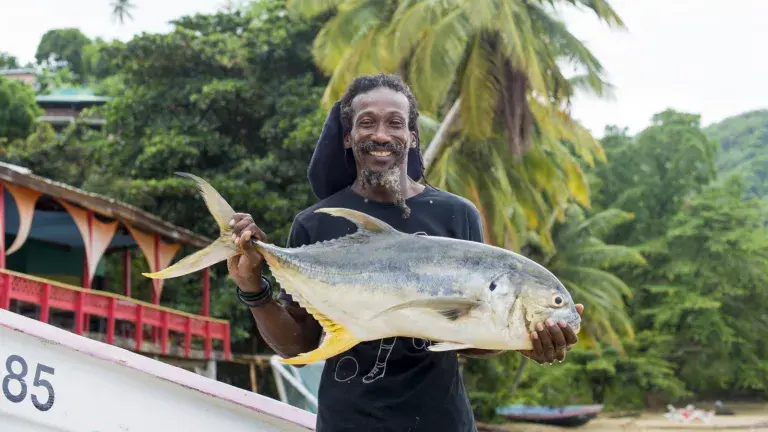 Почему нетронутый Тобаго - идеальное райское место для одиночных путешественников Тобаго