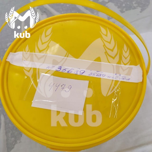 Клятва Гиппократа