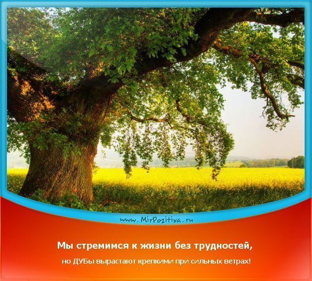 Мы стремимся вдохновлять, обучать и предлагать нашим клиентам самые аутентичные и уникальные гастрономические впечатления.