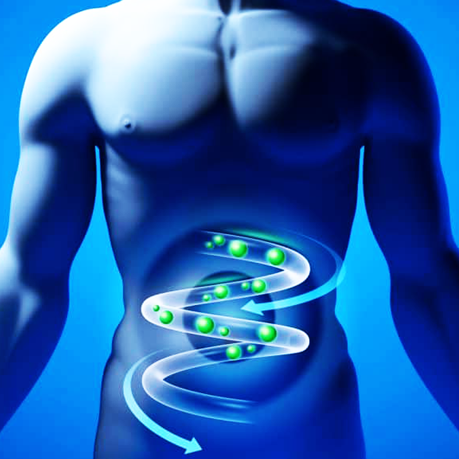 Как улучшить обмен веществ в организме? Что необходимо знать, чтобы ускорить обмен веществ и тем самым повысить эффективность похудения.