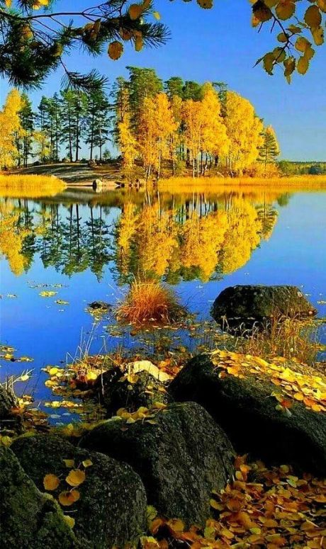 Наш мир находится на грани катастрофы!