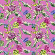 Расторопша для печени и многое другое. Преимущества и противопоказания