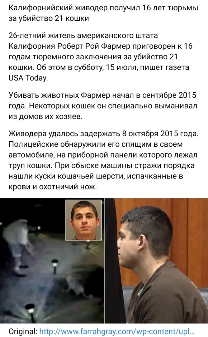 Люди против жЫвотных: два года за котов и 8 тысяч за собаку