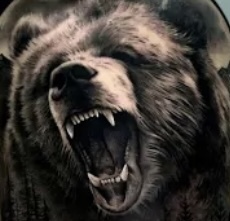 За что Россия должна сказать «Спасибо» Коллективному Западу и США? Опять разбудили русского медведя