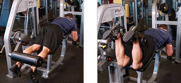 Некоторые сведения об анатомии ног|Комплекс упражнений для ног в тренажёрном зале и в домашних условиях| Растяжка для ног.