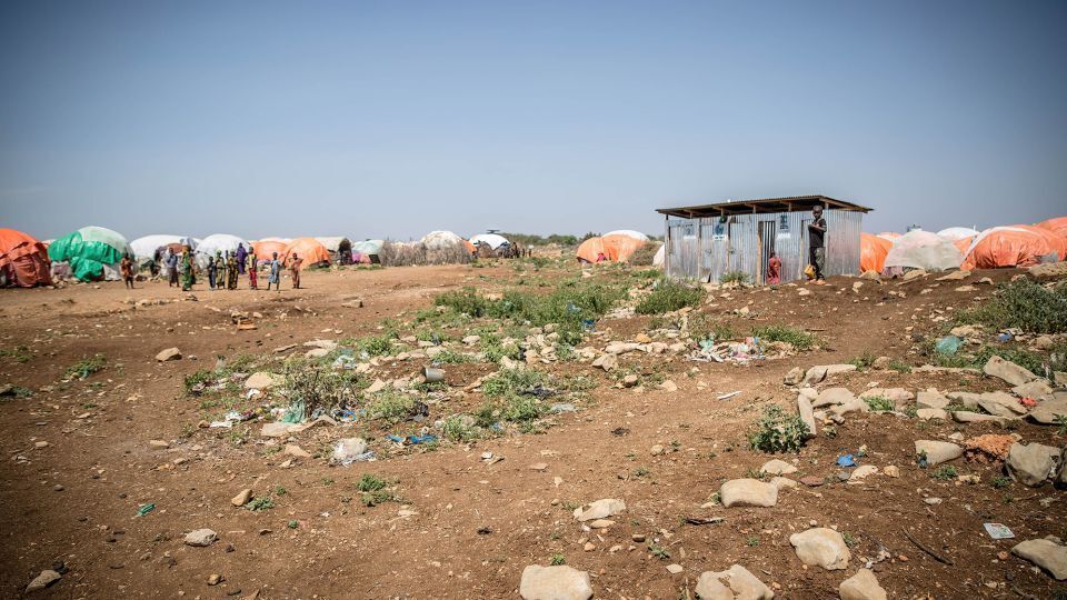 Самые высокие цены на продукты питания за всю историю