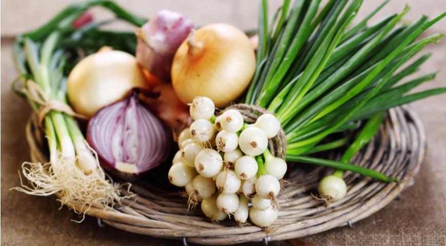 Откройте для себя удивительные преимущества лука! Больше, чем просто ароматная добавка к вашему блюду.