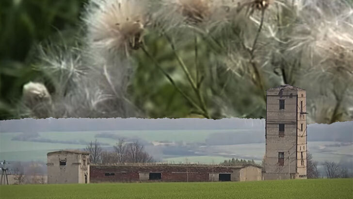 Частную распродажу земель нужно запретить, она должна оставаться в собственности Государства