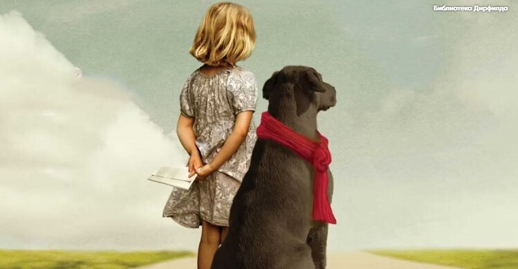 Человек по имени Отто: другие романы Фредрика Бэкмана, заслуживающие экранизации