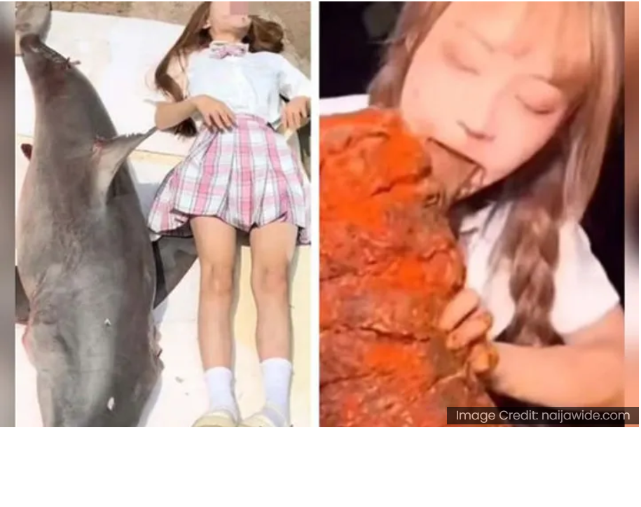 Незаконная покупка акулы привела к штрафу для китайского кулинарного блогера