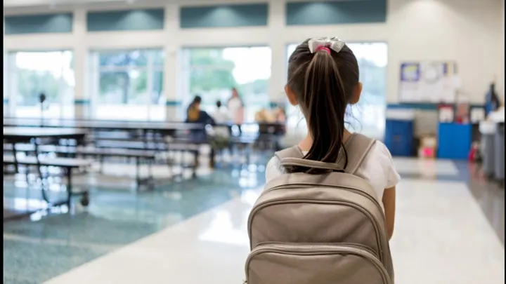 Работник школьного округа Иллинойса обвиняется в присвоении куриных крылышек на 1,5 миллиона долларов.